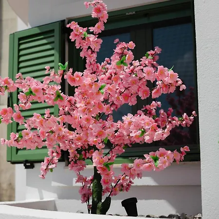 Villa Aegora